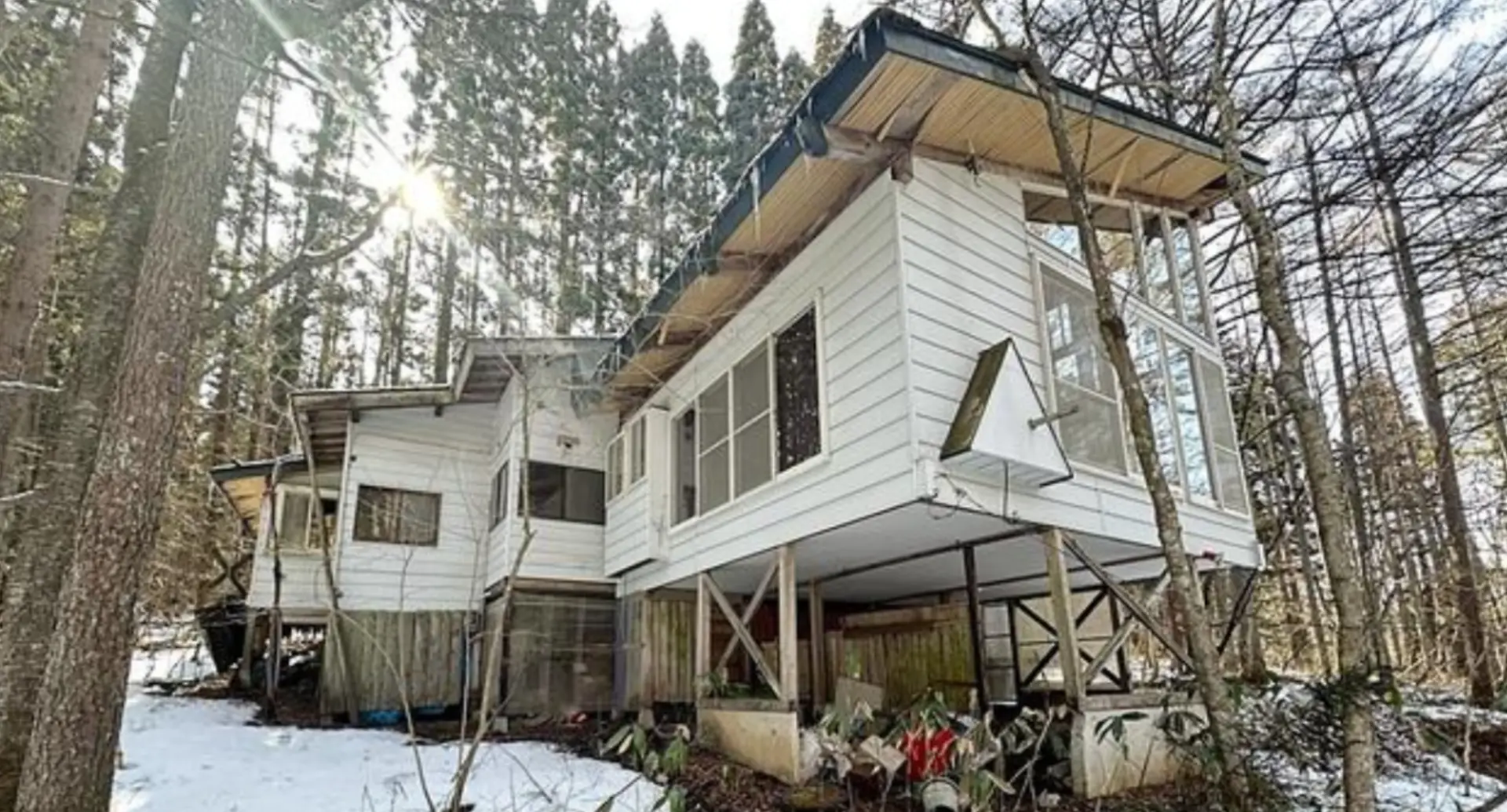 House in the Trees — Iizuna